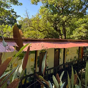 Hostel Mariposas
