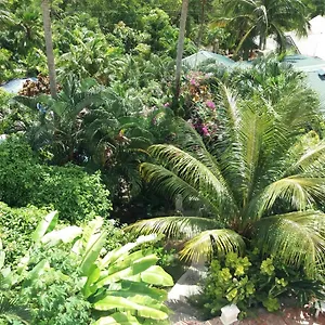 Espoir *** Castries